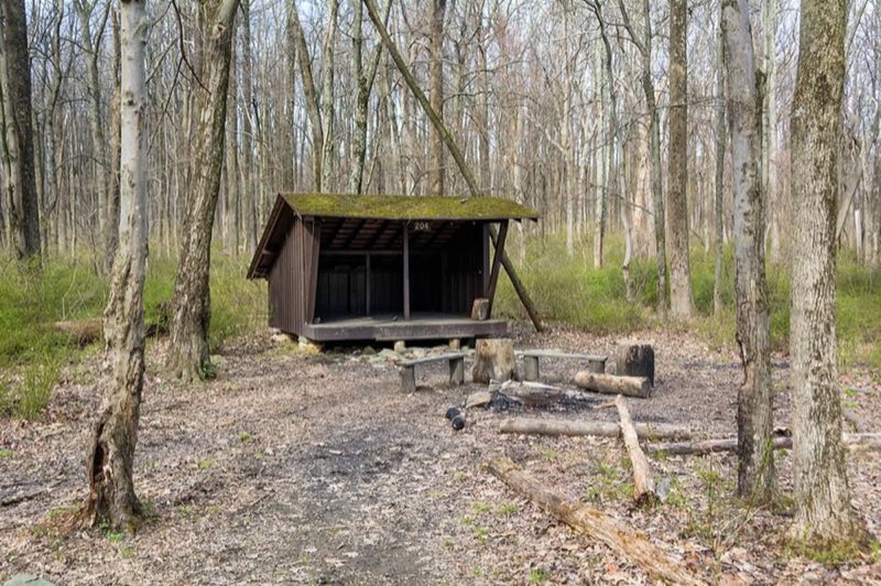 Three-sided wooden Adirondack shelter in early spring. Each shelter has 2 wooden benches and a fire circle. Dead firewood may be collected for use. No potable water is available.