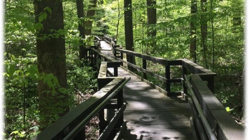 A boardwalk along Browns Farm Nature Trail
