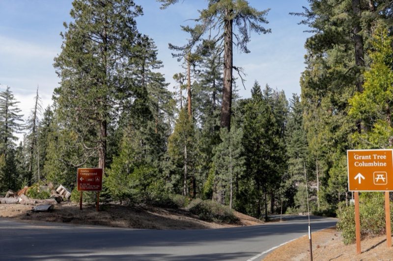 Entrance Sign