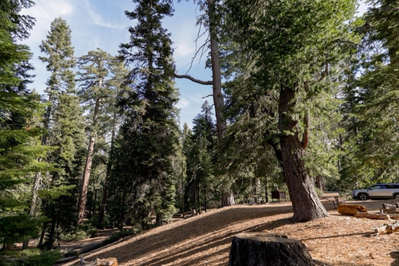 Campsites
