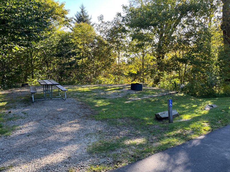 A wheelchair accessible campsite with a picnic table, fire ring, and tent pad near grass and trees.