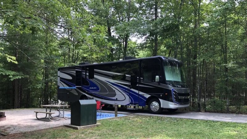 Loop D in Bandy Creek Campground