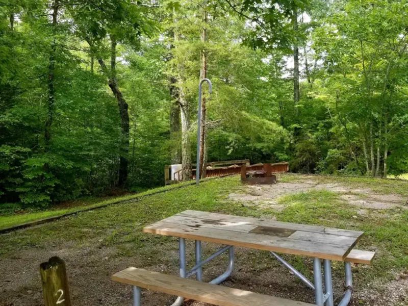 Bear Creek Horse Camp site example