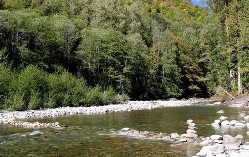 Beckler River Campground