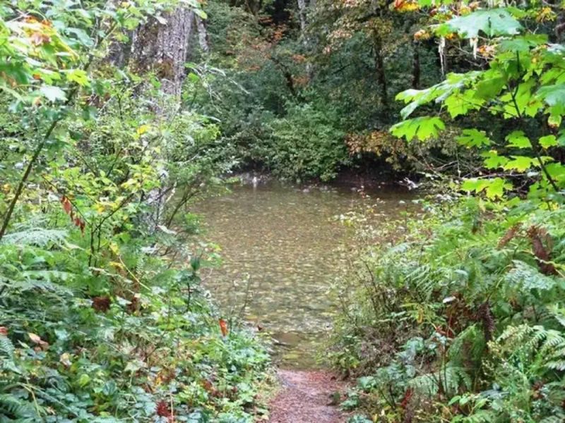 Beckler River