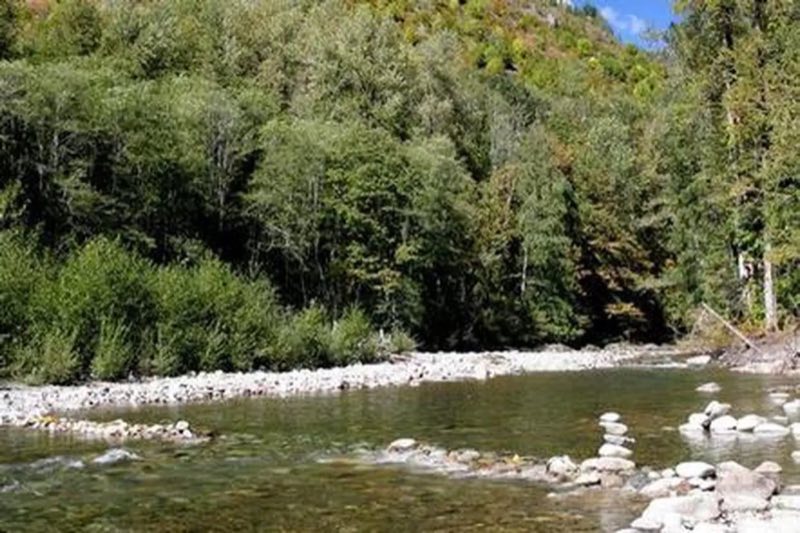 Beckler River Campground