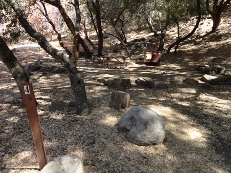 A campsite below small oak trees