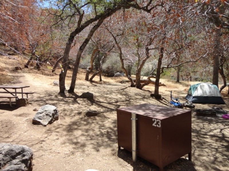 A campsite on a sunny day