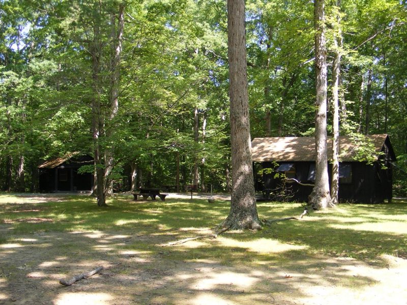 Wooden cabins with porches and picnic tables shaded by a green forest