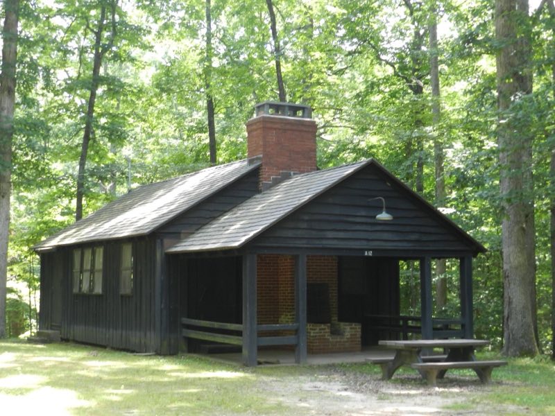 Large wooden cabin with a brick chimney shaded by a green forest