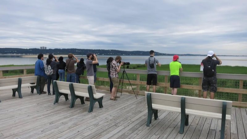 A group of visitors bird watching on the Spermaceti Cove Boardwalk.