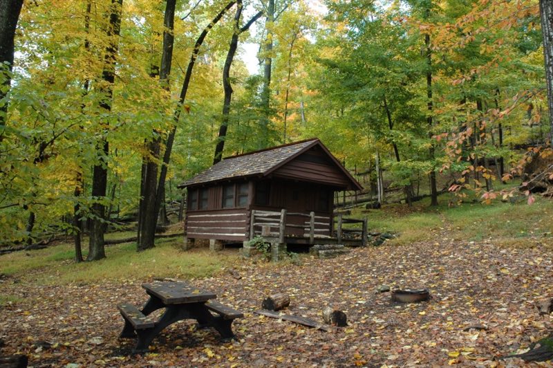 Wooden cabin in the woods