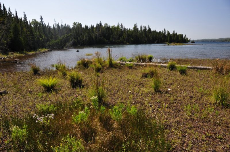 View of West Caribou Island shoreline surrounded by blue water.