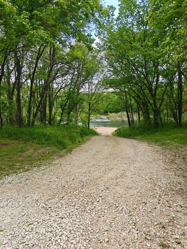 A wide gravel path slopes gently downhill through a dense, green forest.