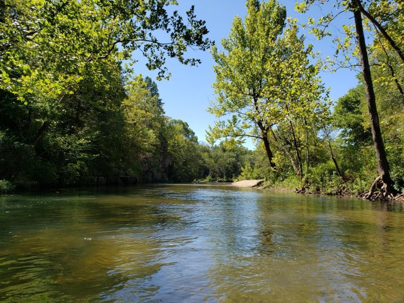 A beautiful river is surrounded by sycamores and other trees.