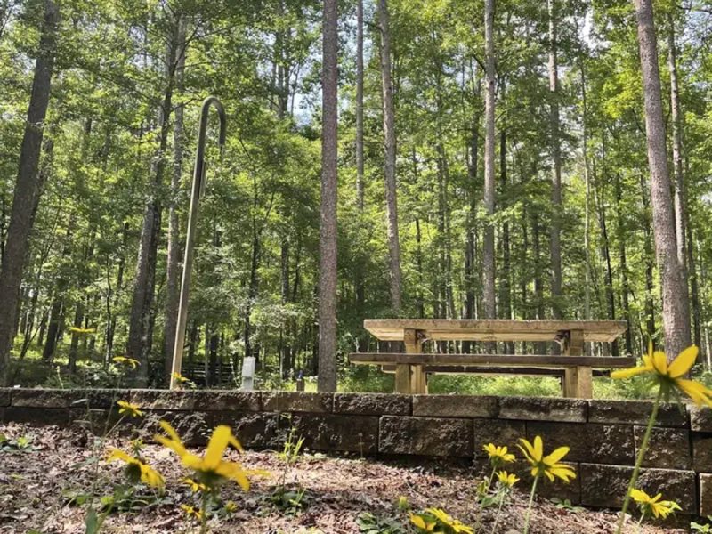 Campsite in Choctaw Lake Recreation Area