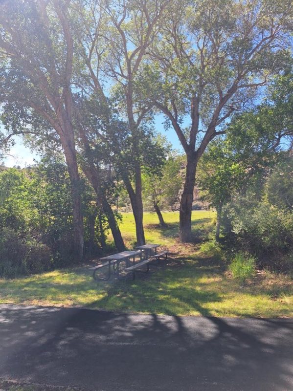 Shaded picnic area near swim beach