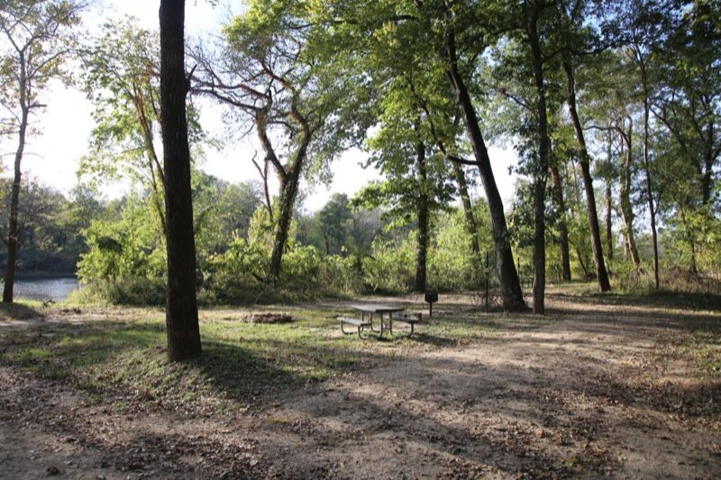 Two campsites with a mix of dirt and grass. Trees provide shade from above.