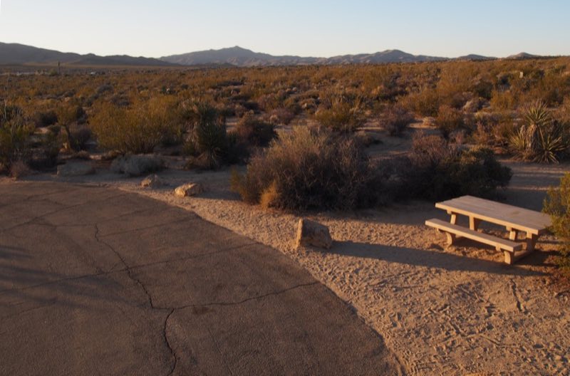 A picnic table in a campsite is next to a road.
