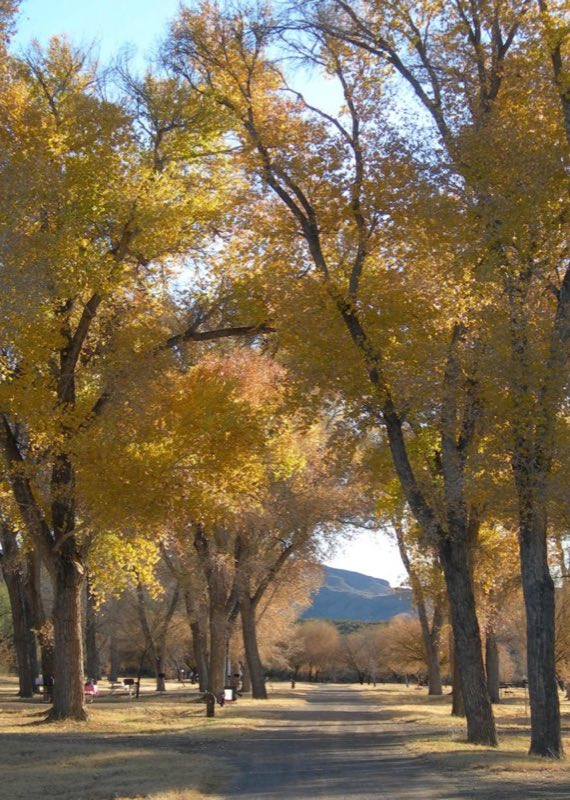 Colorful foliage