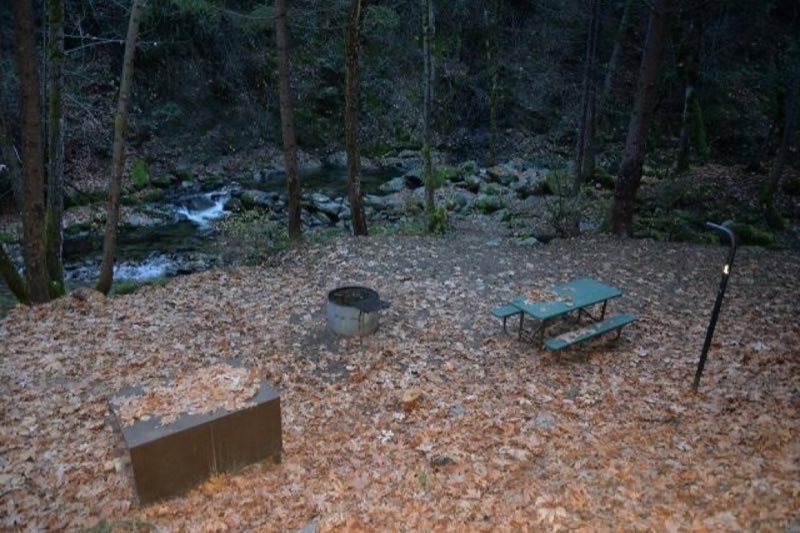 Crystal Creek Site 1 Creek View