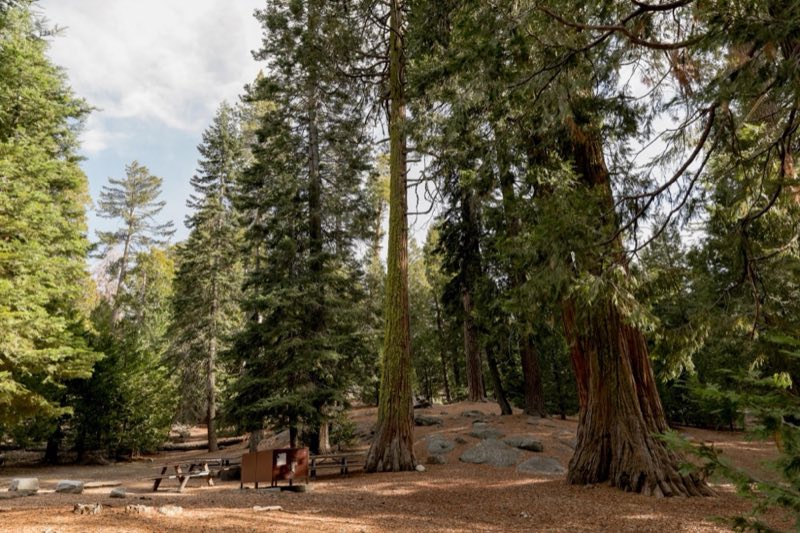 Campsite