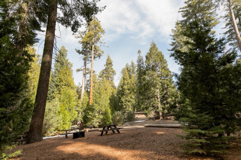 Campsite