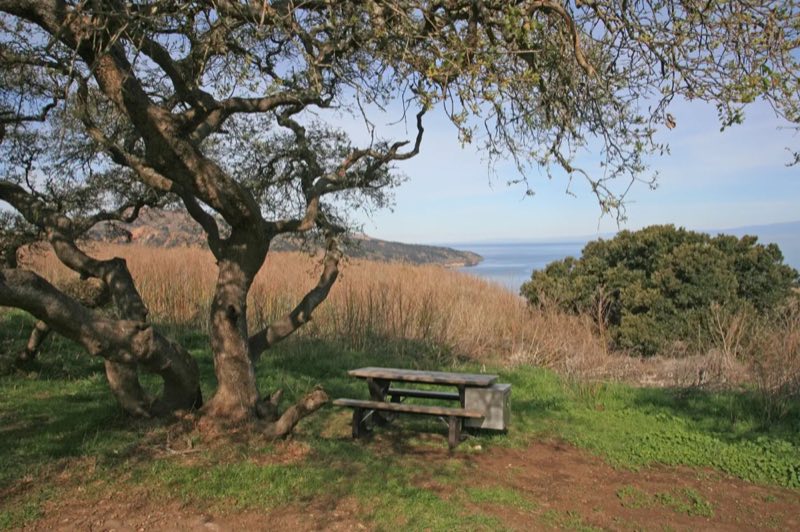 Del Norte Backcountry, Santa Cruz Island