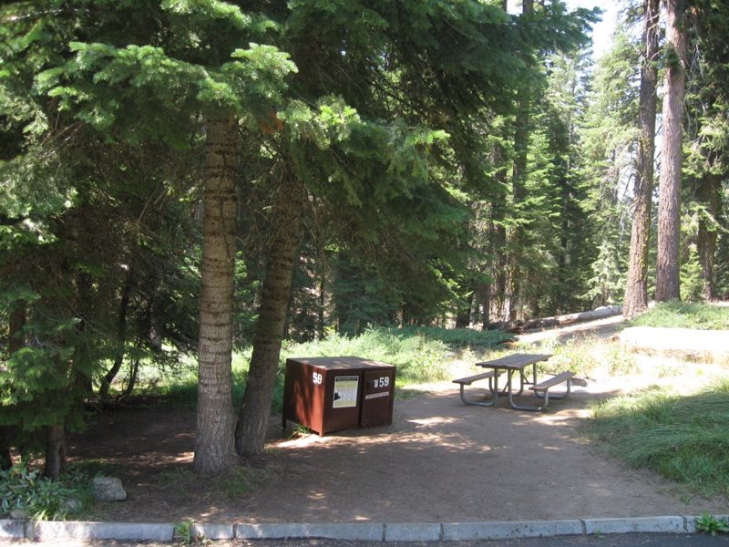 A campsite with a bear box and picnic bench