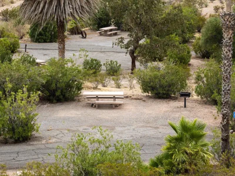 Echo Bay Campground Site