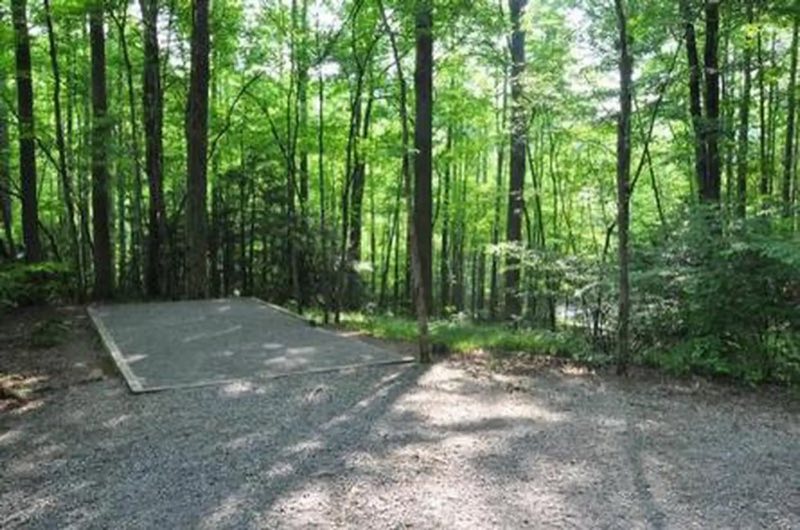 ELKMONT GROUP CAMP