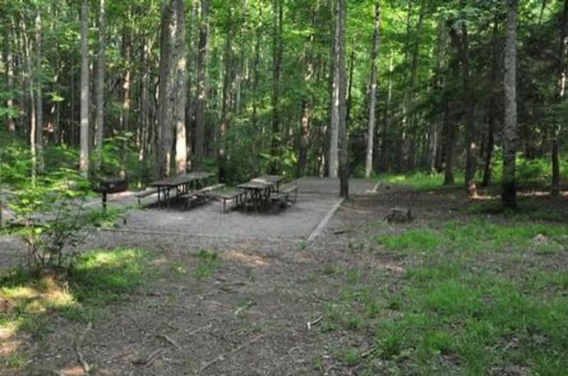 ELKMONT GROUP CAMP