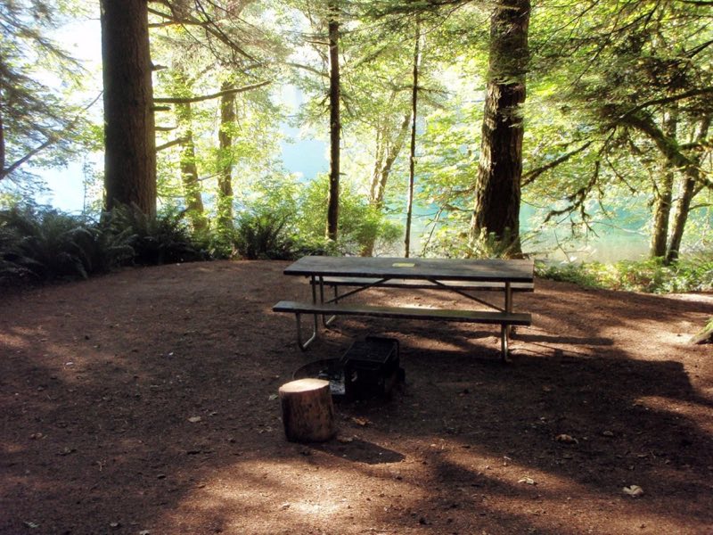 A campsite with a picnic table. Beyond the trees, glittering turquoise water.