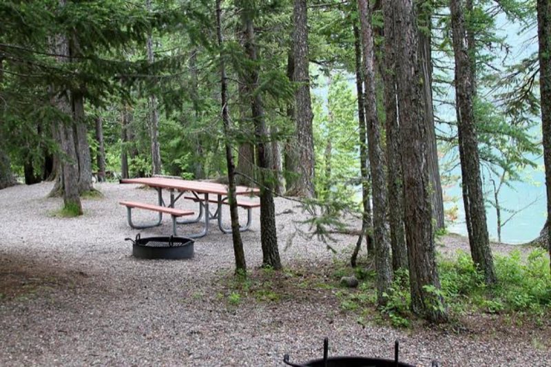 picnic table and fire ring among trees by lake