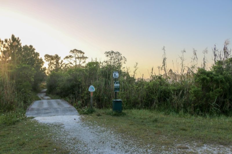 A trail bridge leads to a gravel trail leading into the distance between trees.