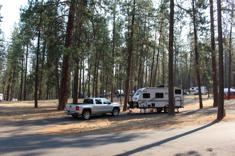 Tall pine trees surround various campsites, including a truck and trailer.