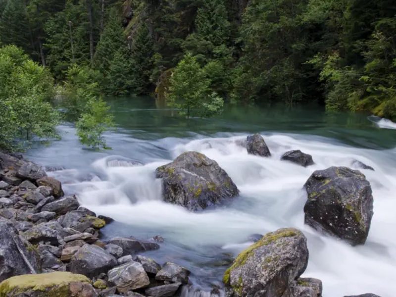 The nearby Skagit River.