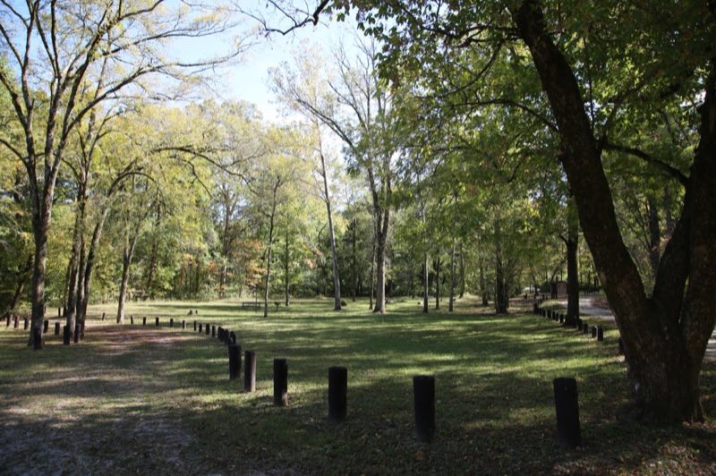 A grassy campground with scattered trees and plenty of shade.