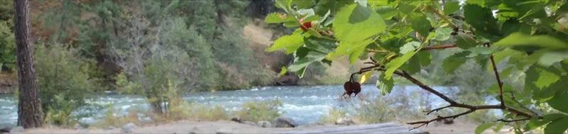 Nice River Views