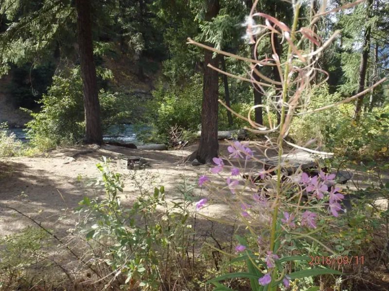 Campsite
