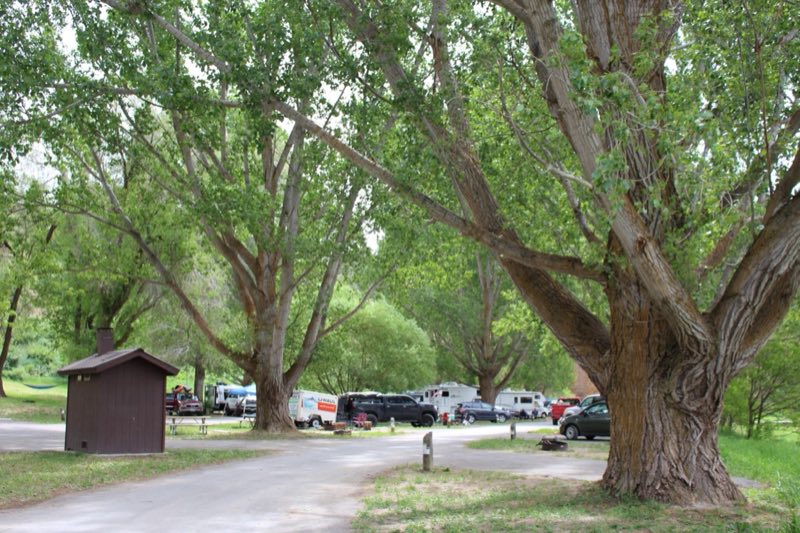 A road into a campground filled with large trees and a pit toilet in view