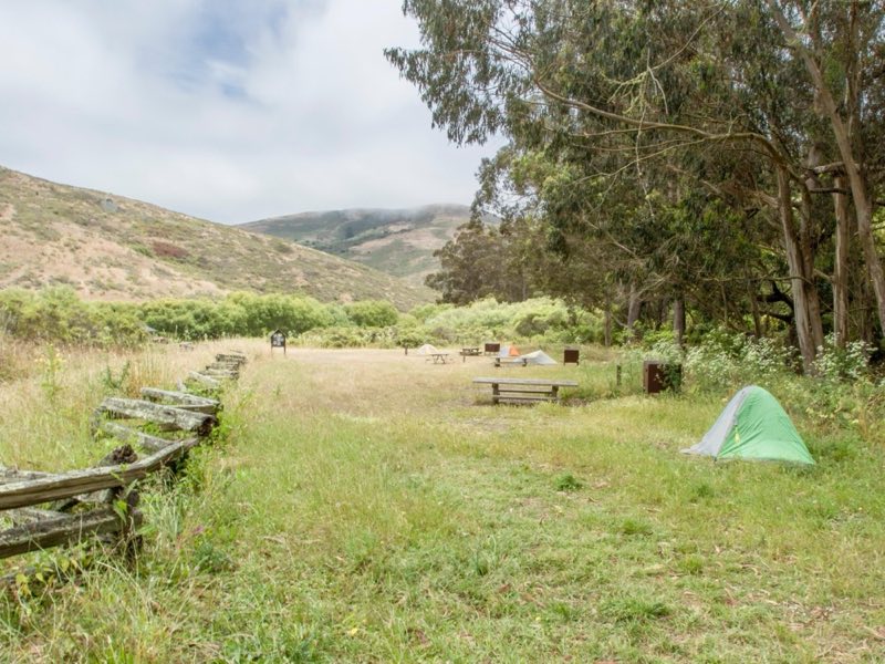 A fence line disappears into the distance next to a green tent below a Eucalyptus stand.
