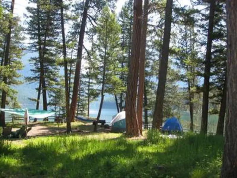 campsite with tents