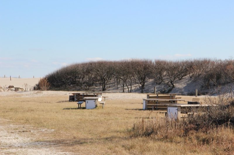 Horse Camp Site A