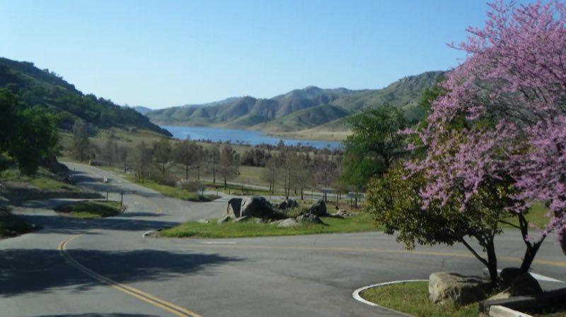 Spring time view from Fee Building Mar 2021
