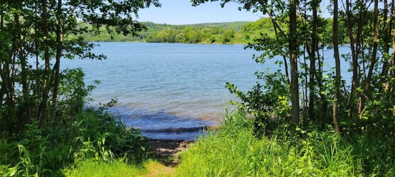 View of Hammond Lake from Ives Run's Pine Camp primitive camping area
