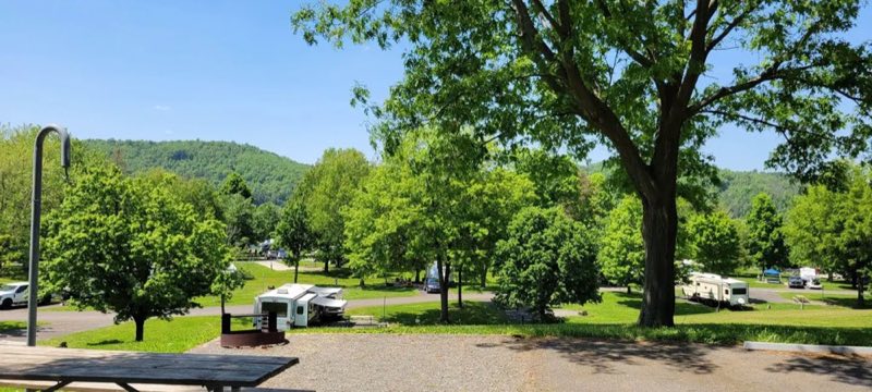 View from atop the Hickory Loop Sites at Ives Run