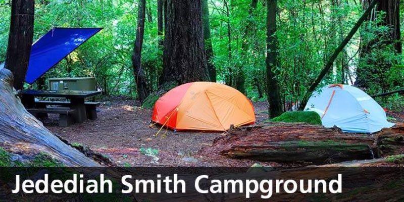Tent camping in the redwoods.