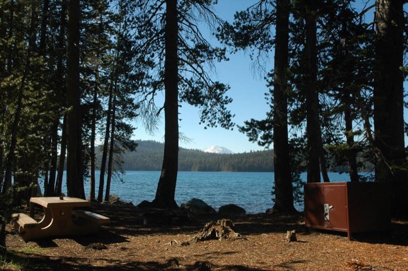 A picnic table, fire ring, and metal bear box at a campsite amid conifer trees on a lakeshore.