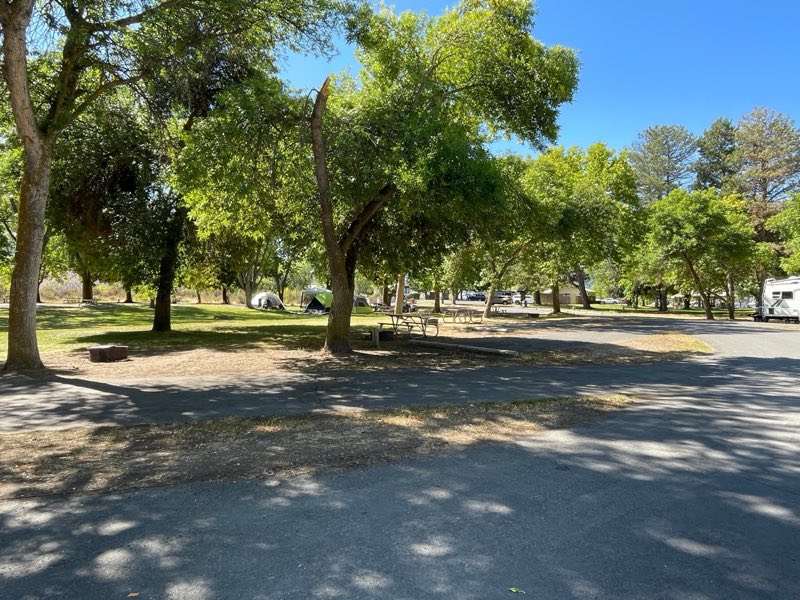 Open campsites with paved driveways surrounded by grass and trees.